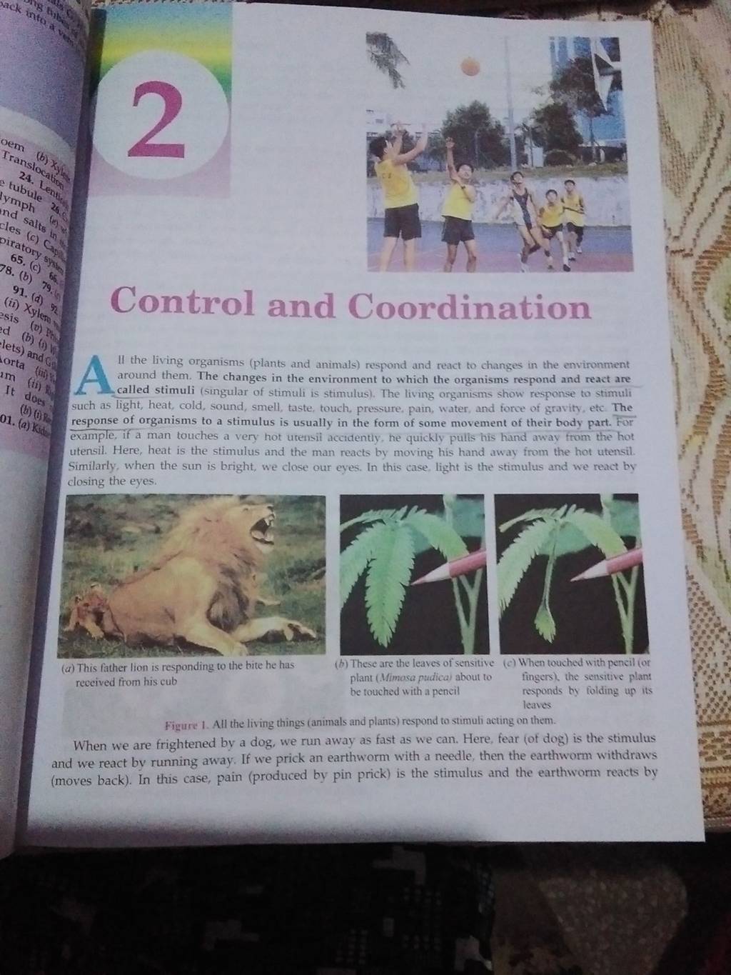 II the living organisms (plants and animals) respond and react to changes..