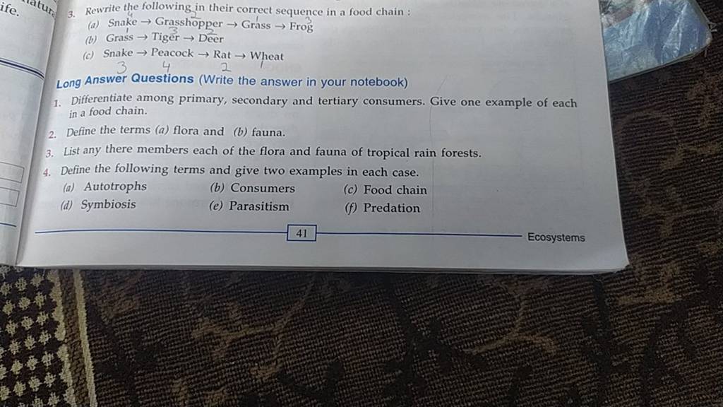 rewrite-the-following-in-their-correct-sequence-in-a-food-chain-filo