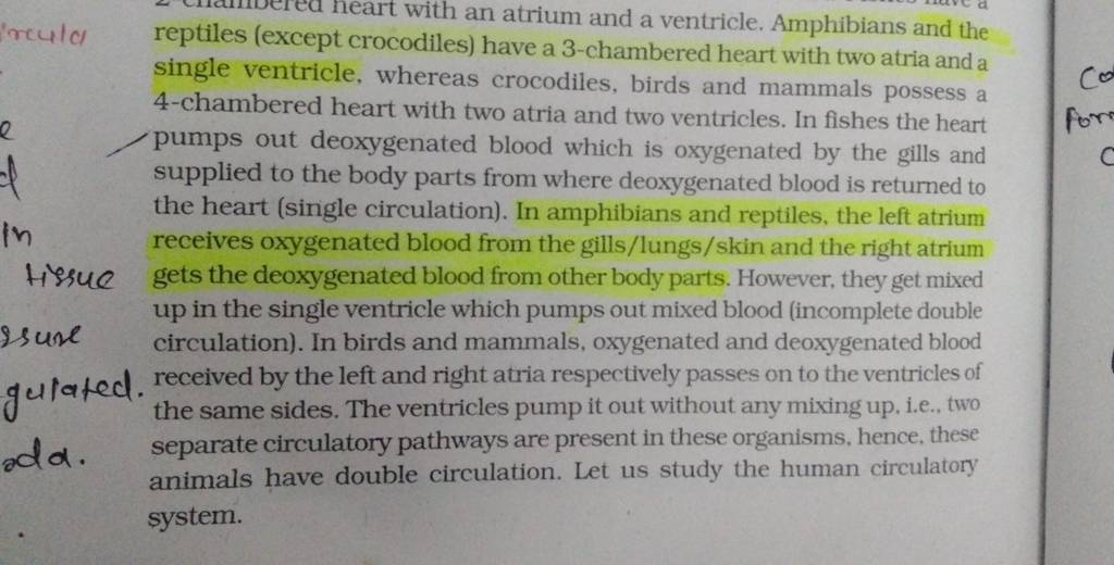 with an atrium and a ventricle. Amphibians and the 4-chambered heart with..