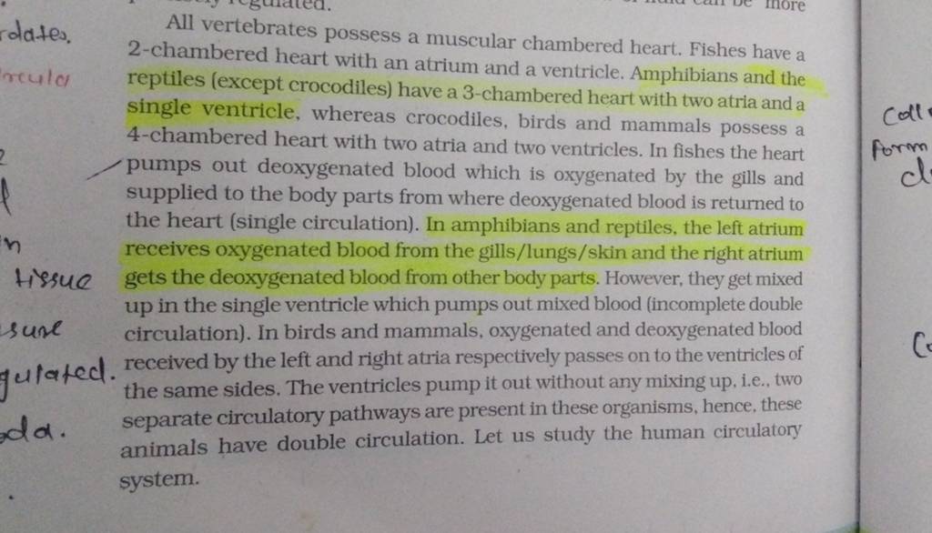 rodates. All vertebrates possess a muscular chambered heart. Fishes have ..
