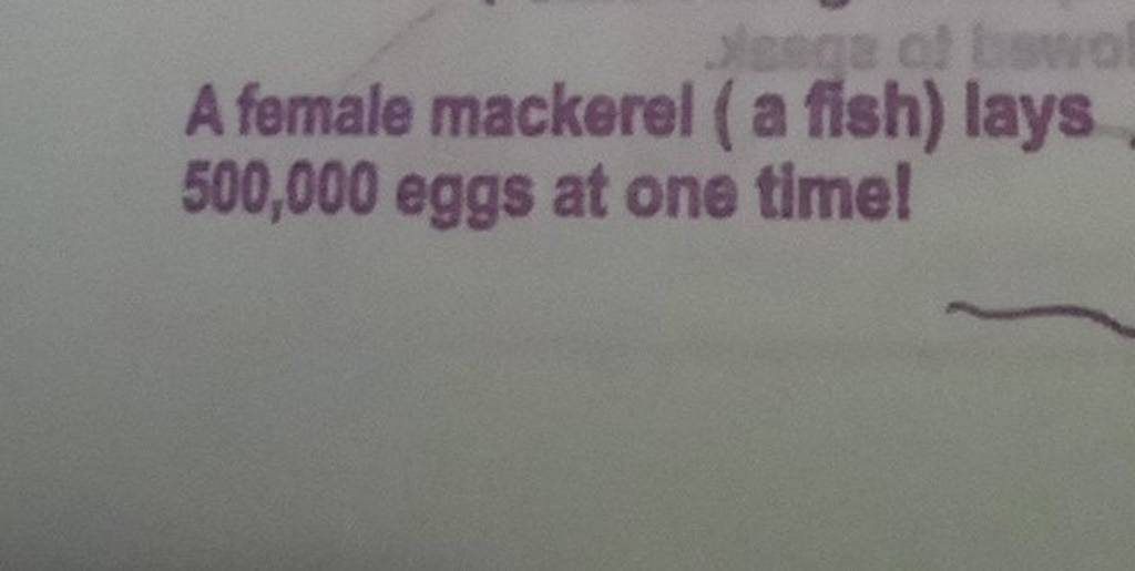 A female mackerel ( a fish) lays 500,000 eggs at one timel Filo