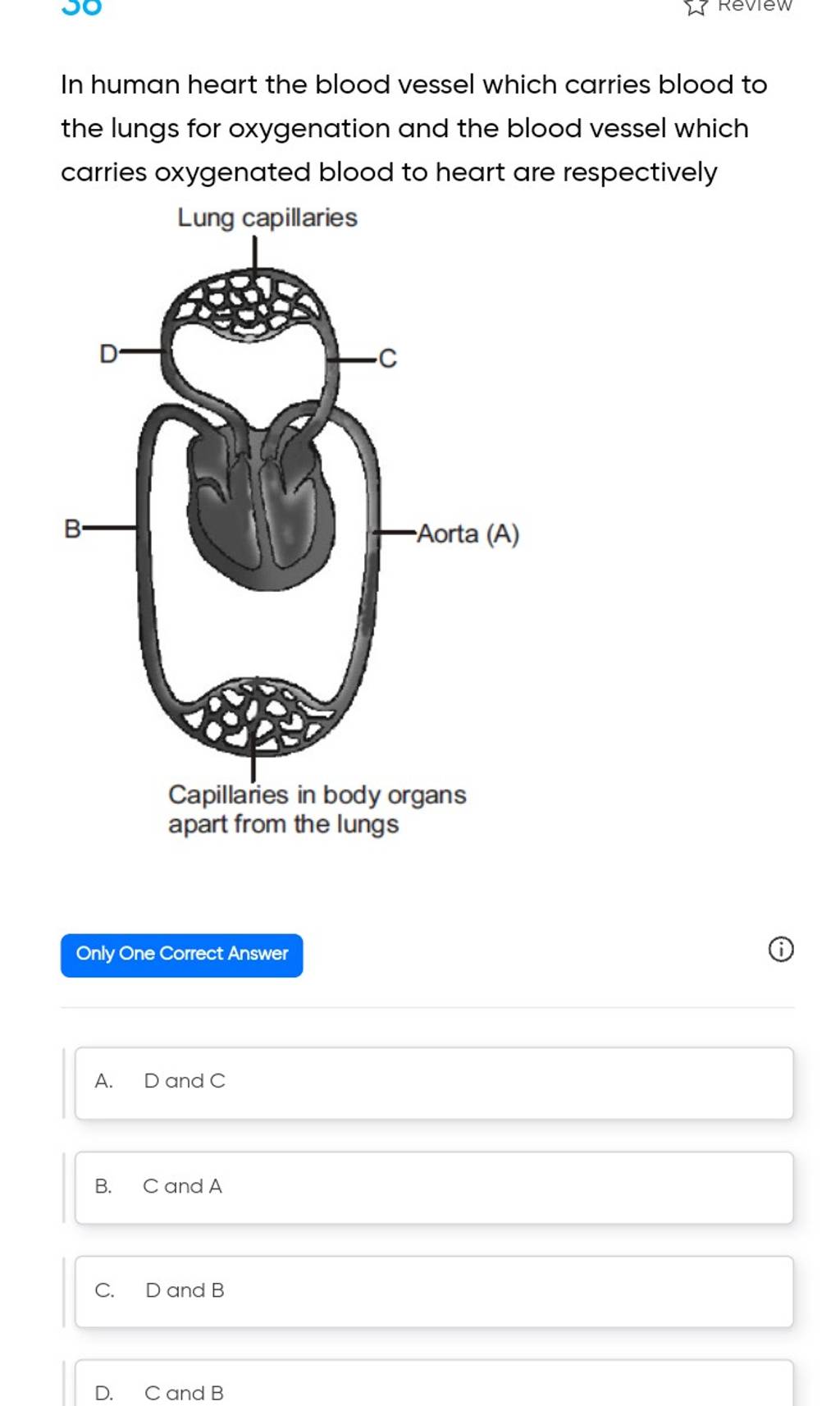 In human heart the blood vessel which carries blood to the lungs for oxyg..