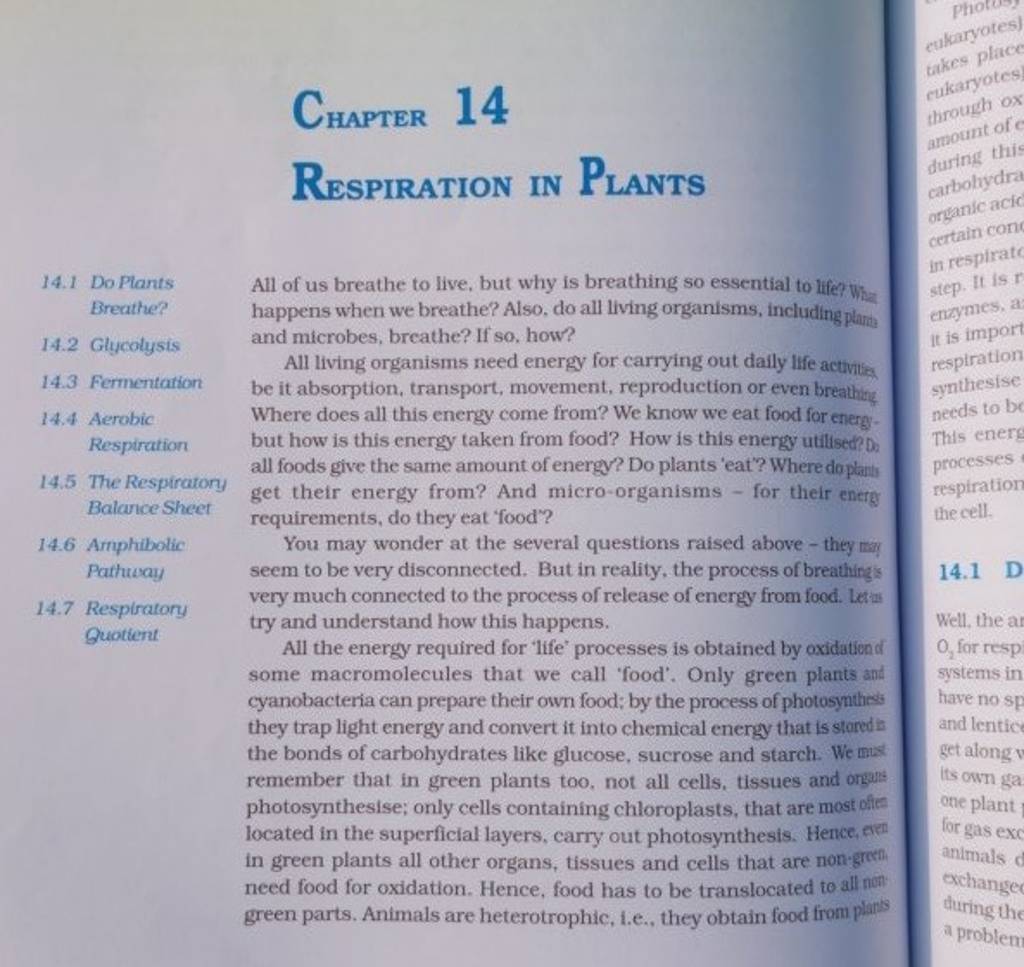 Chapter 14 Respiration in Plants 14.1 Do Plants All of us breathe to live..