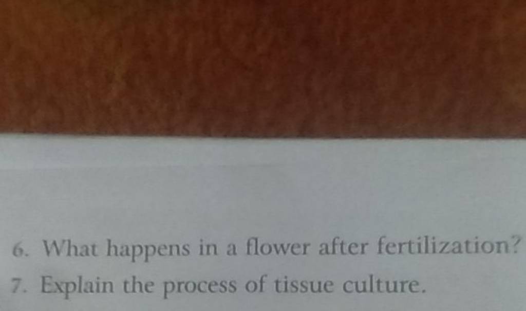 6. What happens in a flower after fertilization? 7. Explain the process o..
