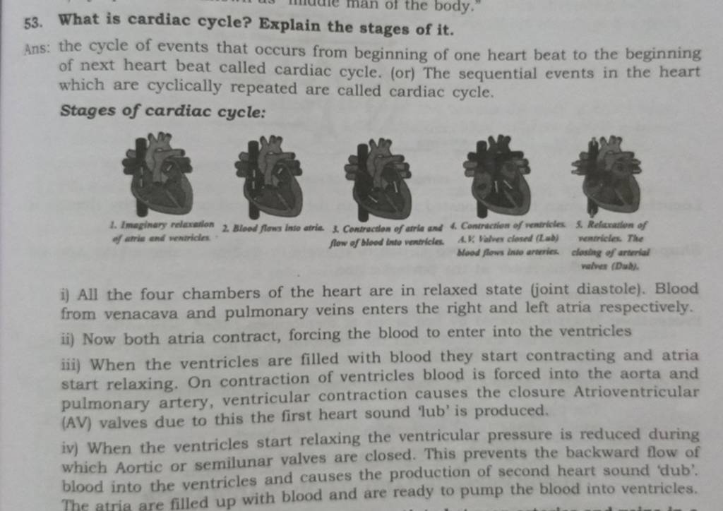 What is cardiac cycle? Explain the stages of it. Ans the cycle of events..