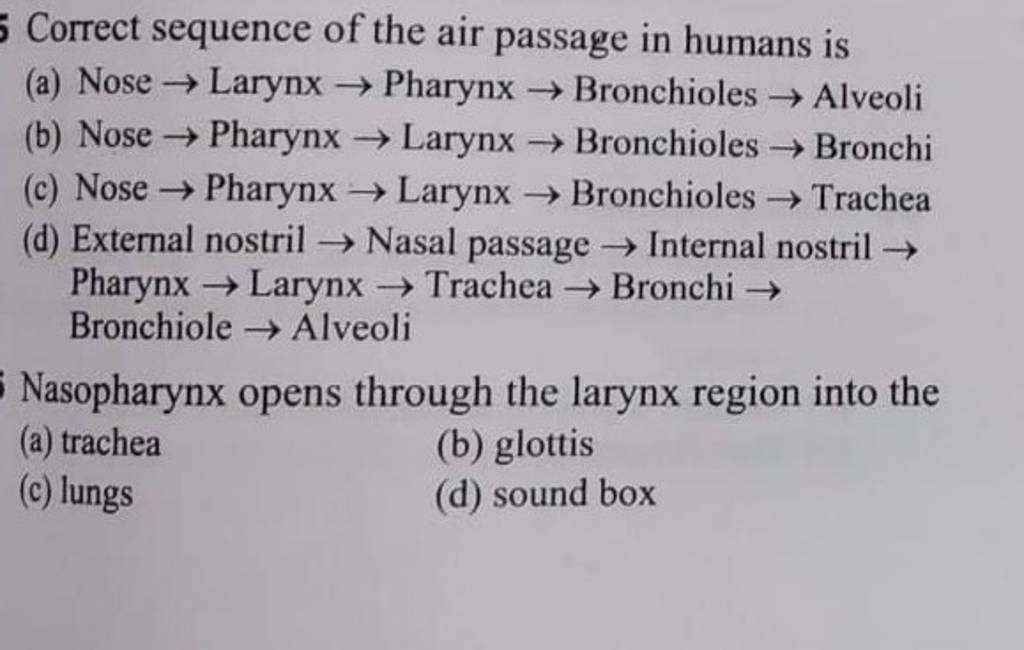 Nasopharynx opens through the larynx region into the Filo