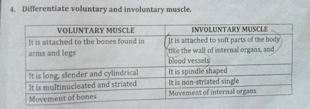 4-differentiate-voluntary-and-involuntary-muscle-voluntary-muscleinvolu