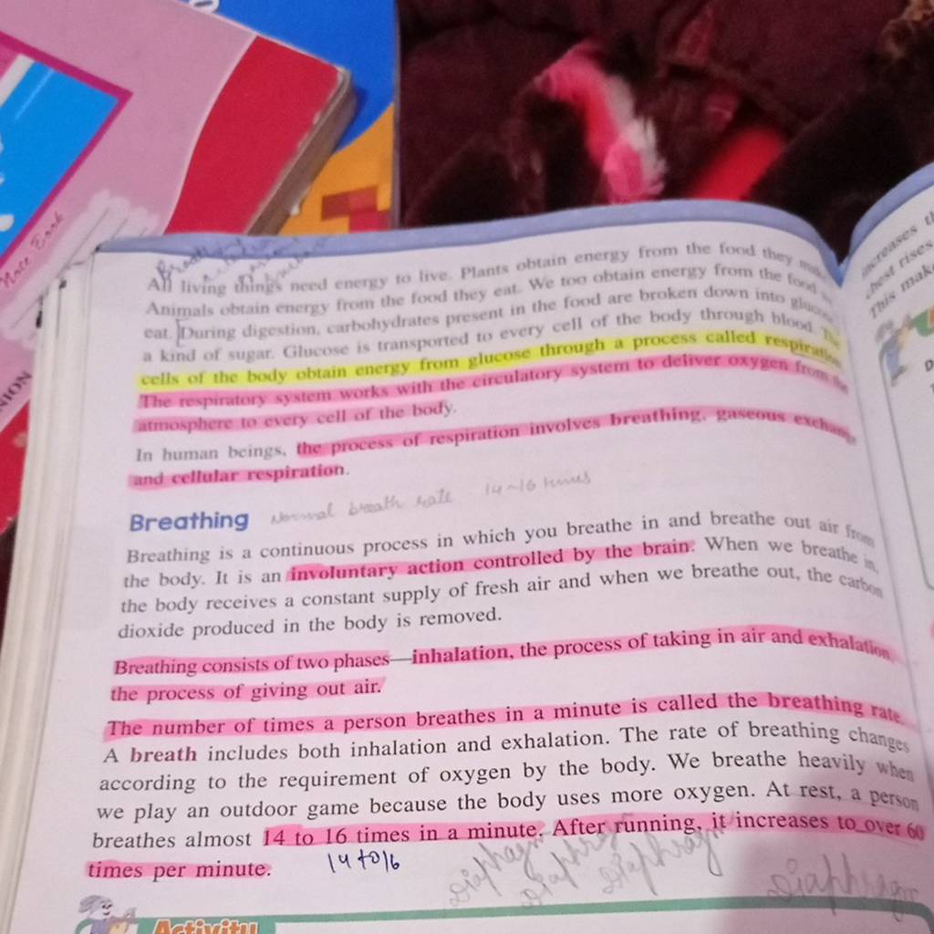 A) living things necd energy to live. Plants obtain energy from the food