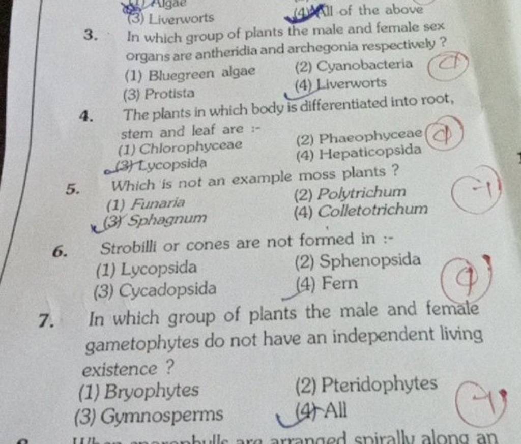 In Which Group Of Plants The Male And Female Sex Organs Are Antheridia An