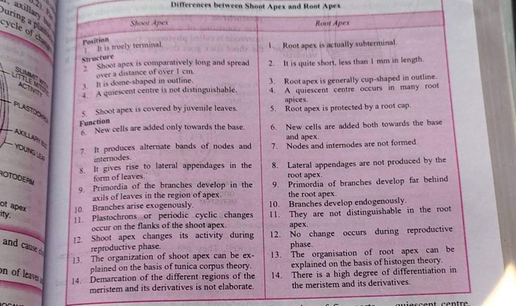 Differences Between Shoot Apex And Root Apex Pesition 1. It Is Trucly Ter..