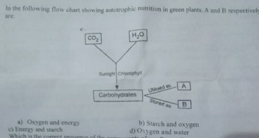 in-the-following-flow-chart-showing-autotrophic-nutrition-in-green-plants