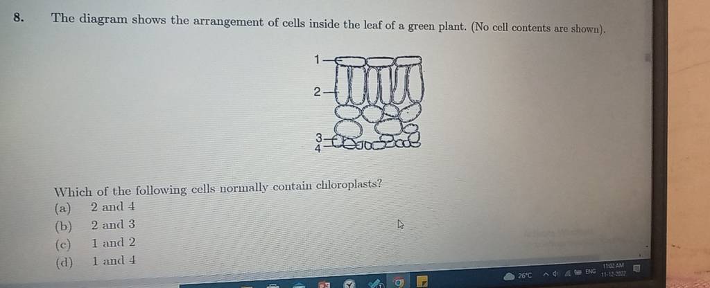 the-diagram-shows-the-arrangement-of-cells-inside-the-leaf-of-a-green-pla