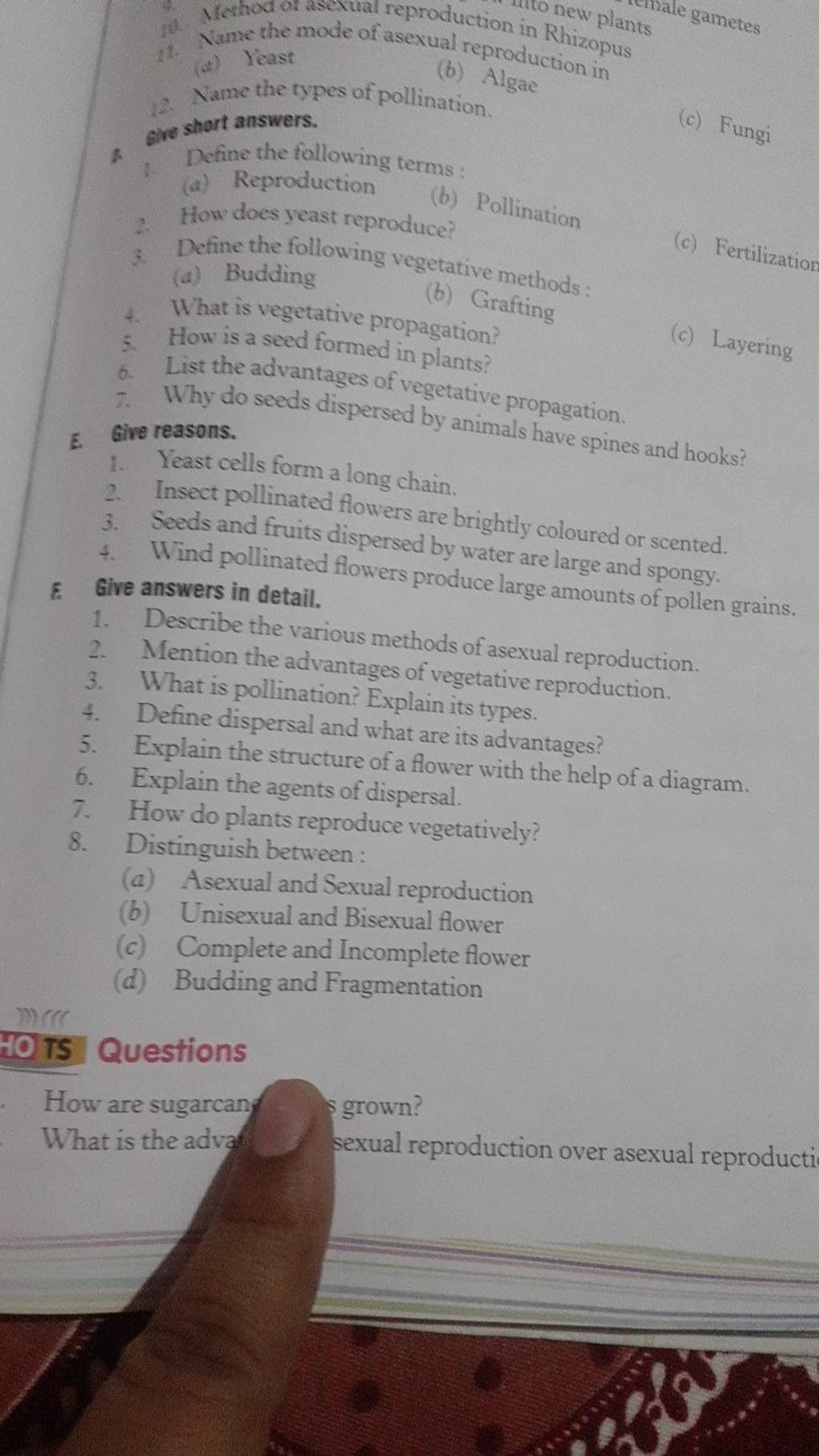 How does yeast reproduce? 3. Define the following vegetative methods (a..