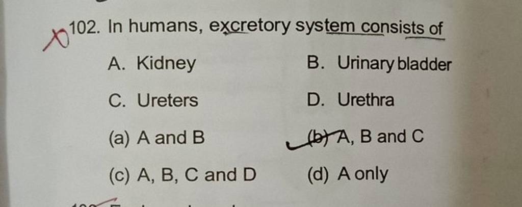 In Humans, Excretory System Consists Of A. Kidney B. Urinary Bladder C. U..