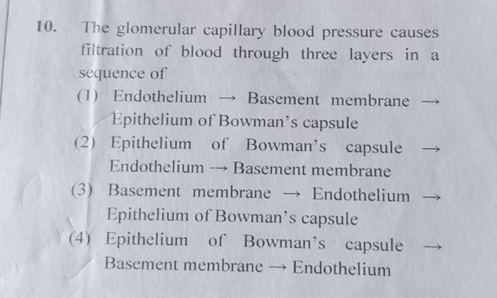 The glomerular capillary blood pressure causes filtration of blood throug..