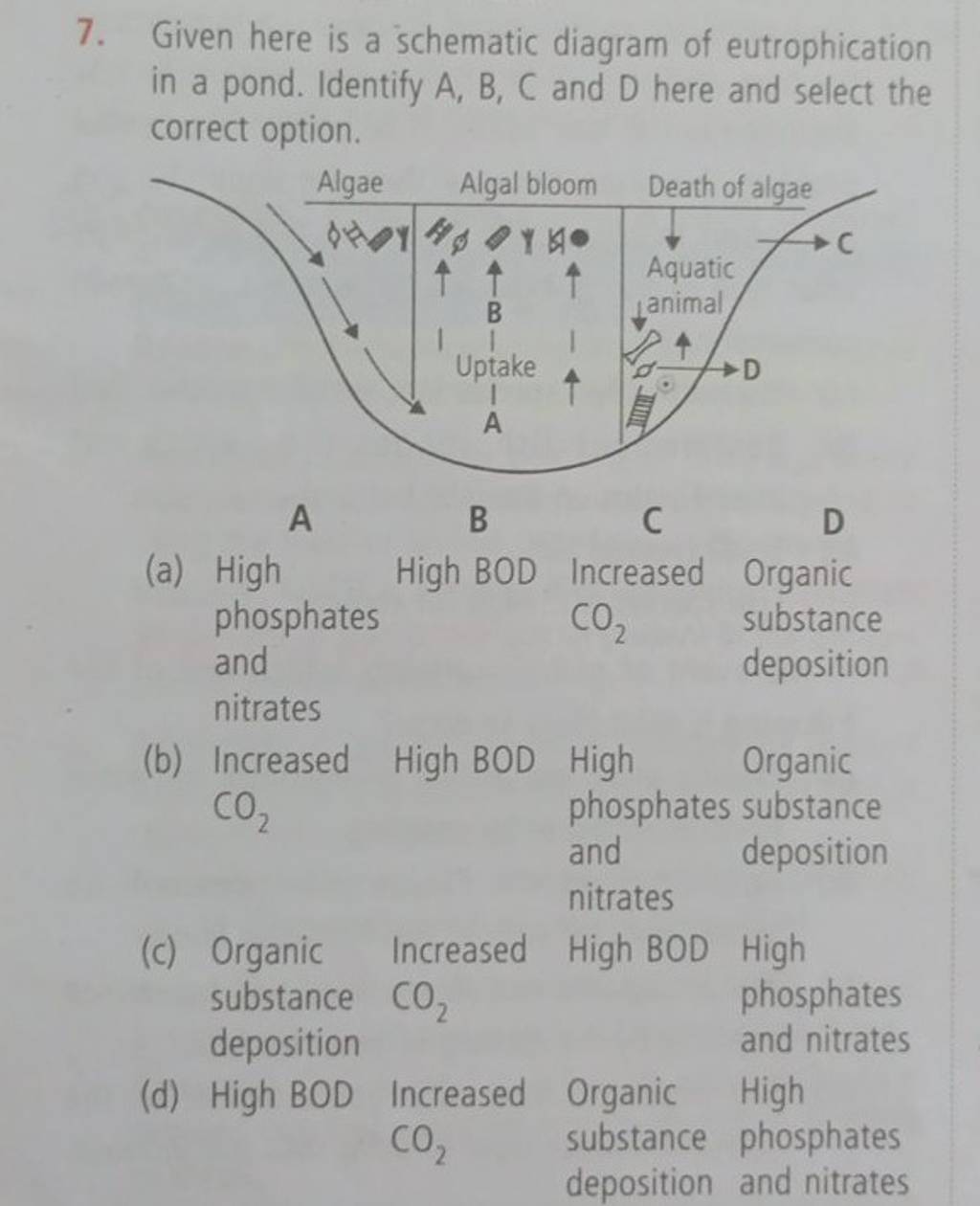 Given here is a schematic diagram of eutrophication in a pond. Identify A..