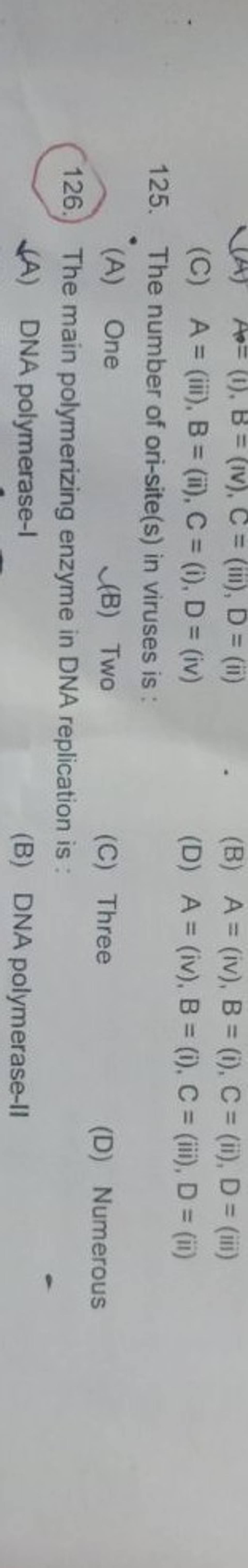 The main polymerizing enzyme in DNA replication is Filo