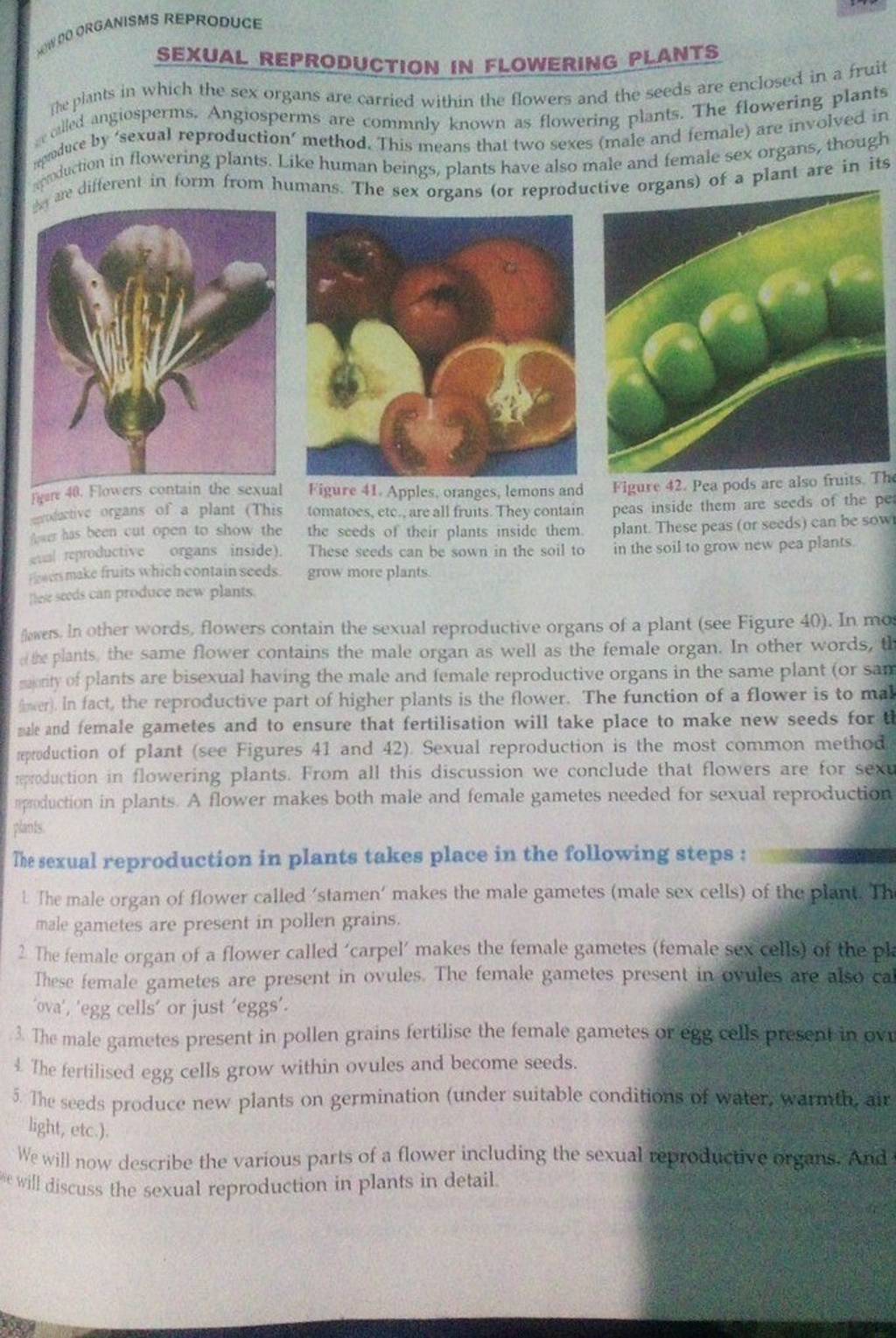 Q w 00 ORGANISMS REPRODUCE SEXUAL REPRODUCTION IN FLOWERING PLANTS The pl..