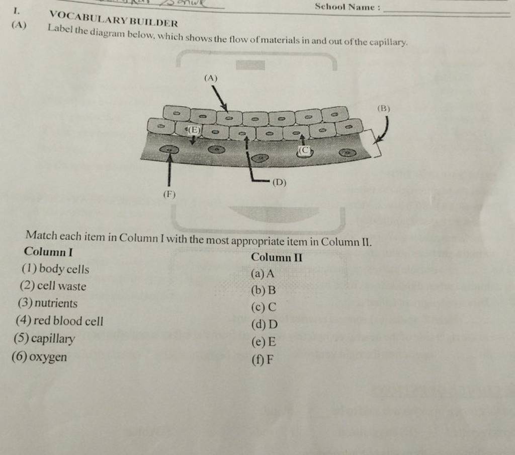 (A) Label the diagram below, which shows the flow of materials in and out..