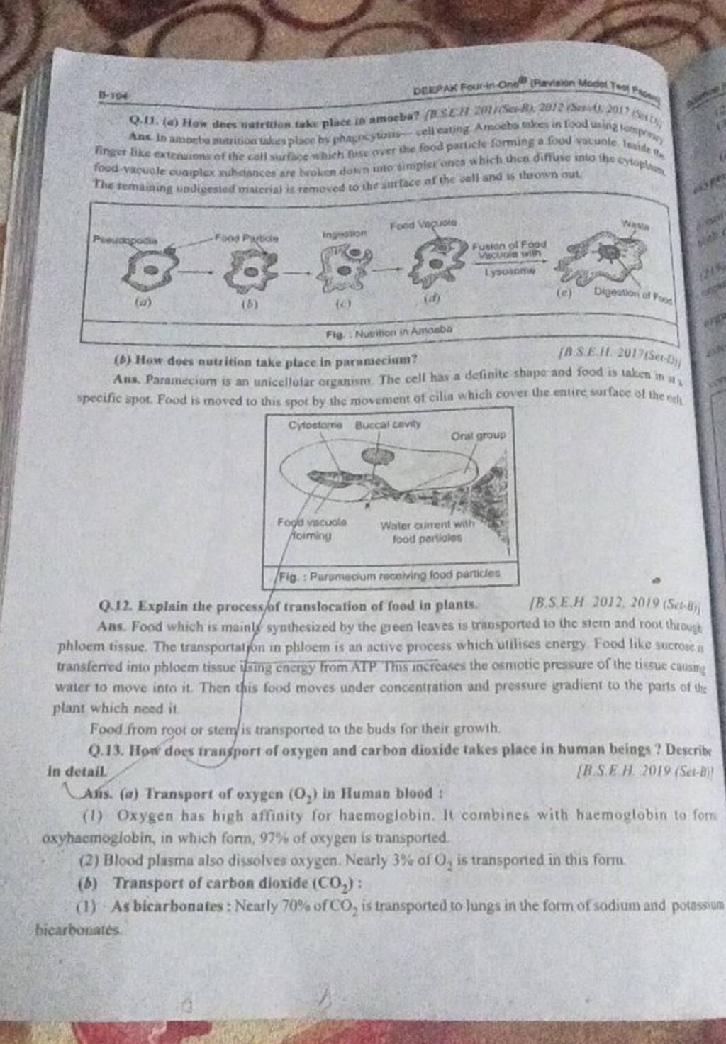 Q 12 Explain The Processof Translocation Of Food In Plants B S E H 2 q-12-explain-the-processof-translocation-of-food-in-plants-b-s-e-h-2