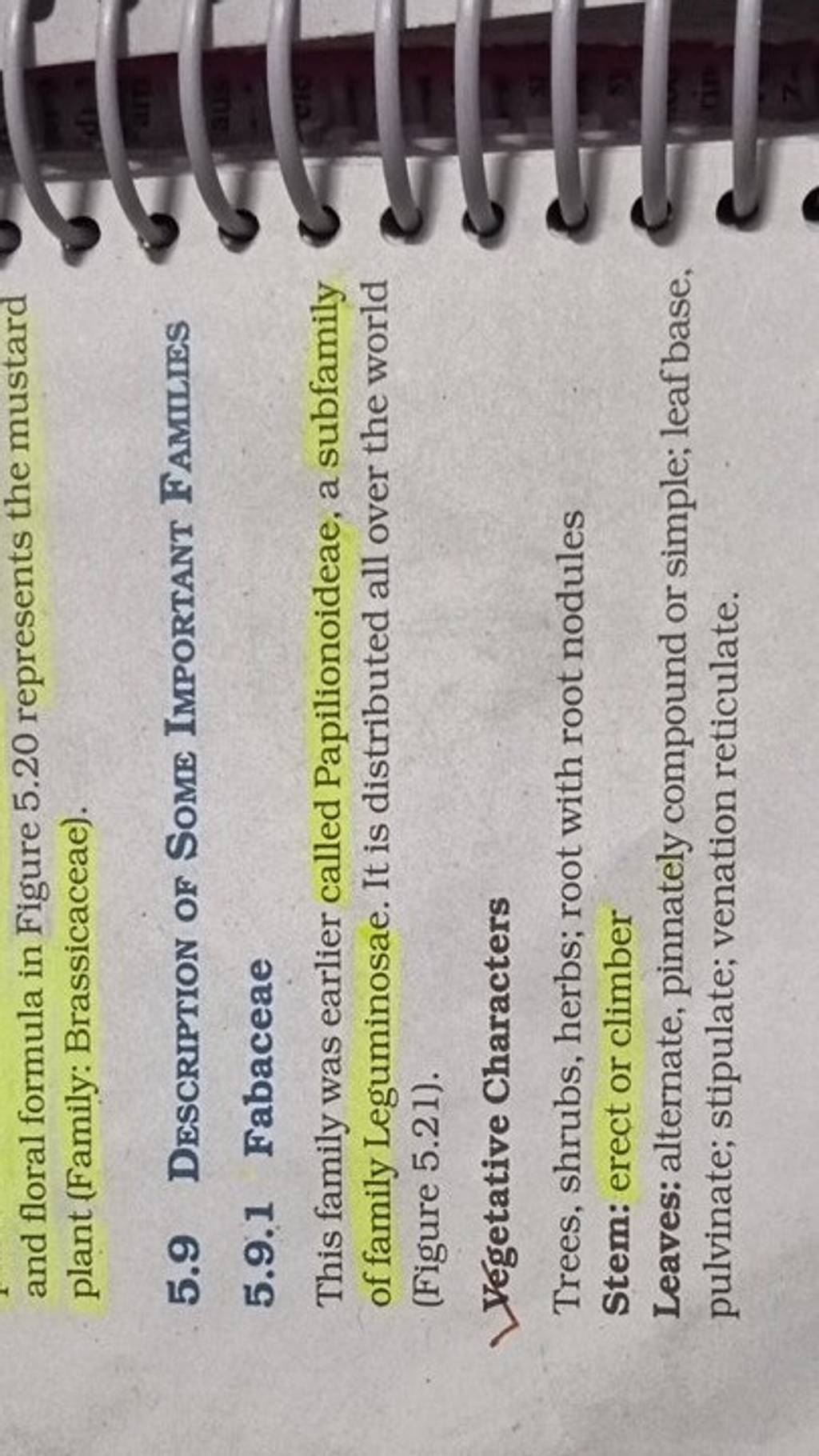 and floral formula in Figure 5.20 represents the mustard plant (Family B..