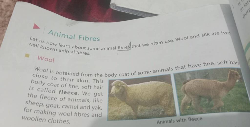 Let us now learn about some animal fibreft that we often use. Wool and si..