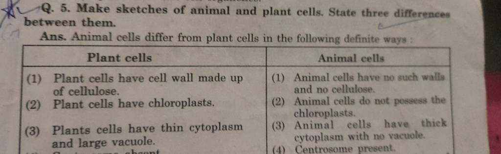 Q. 5. Make sketches of animal and plant cells. State three differences be.. Q. 5. Make sketches of animal and plant cells. State three differences be..