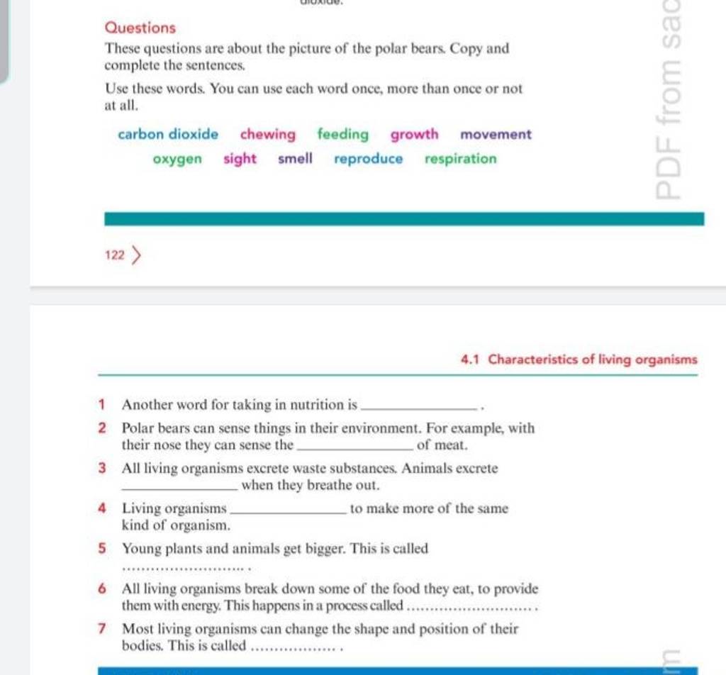 Questions These Questions Are About The Picture Of The Polar Bears Copy