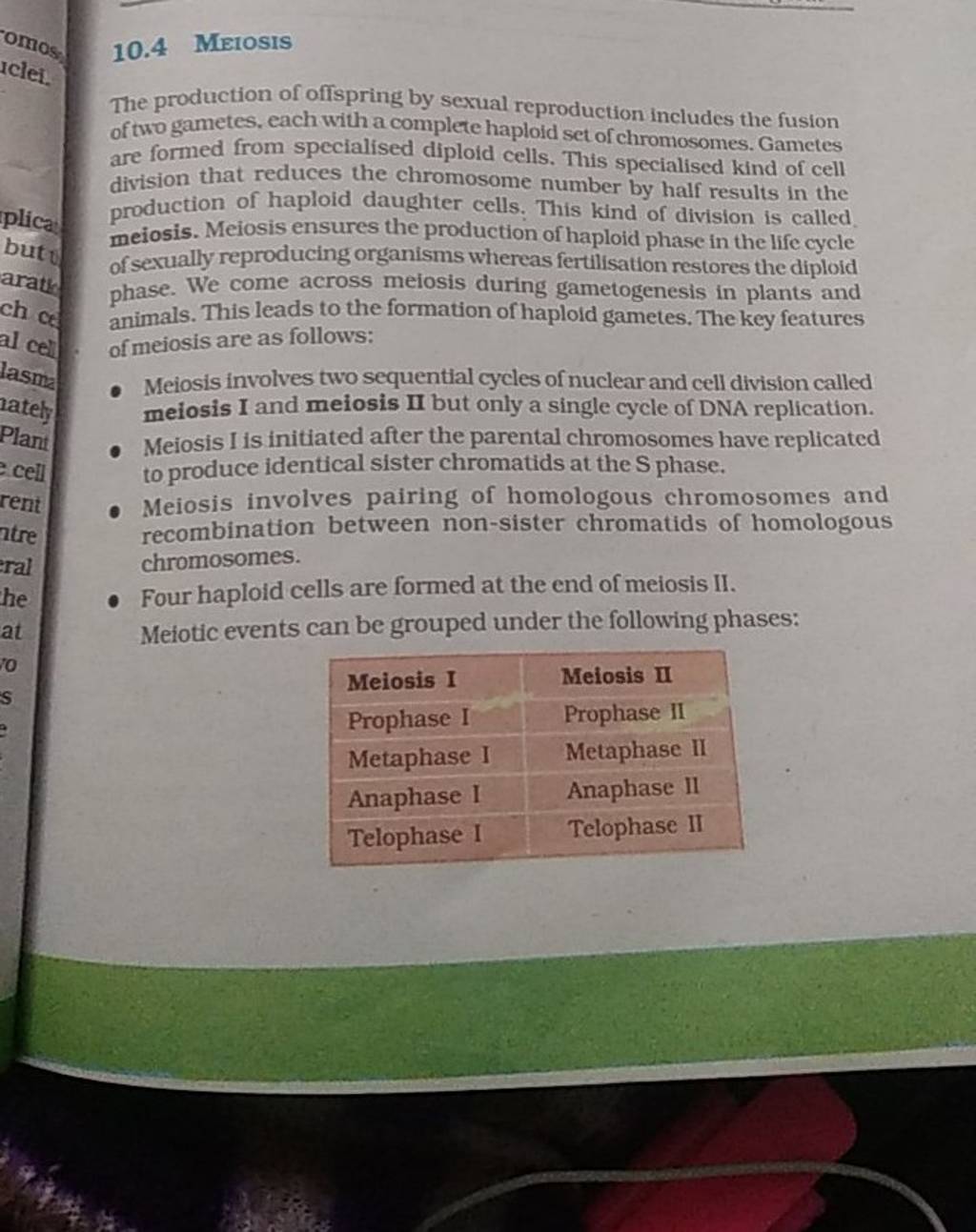 The production of offspring by sexual reproduction includes the fusion of..