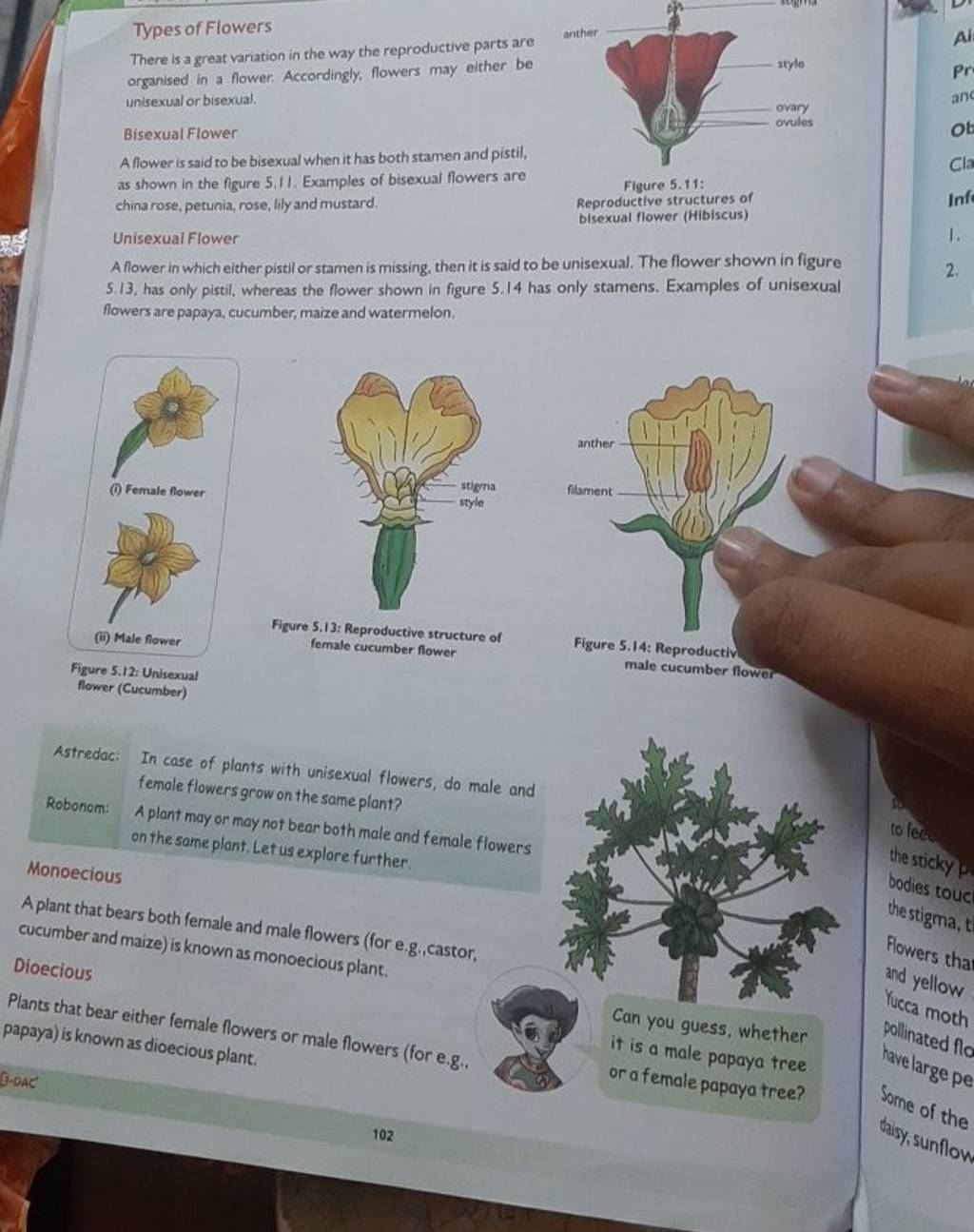 There is a great variation in the way the reproductive parts are organise..