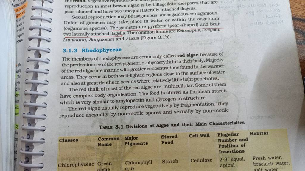 reproduction in most brown algae is by biflagellate zoospores that are pe..