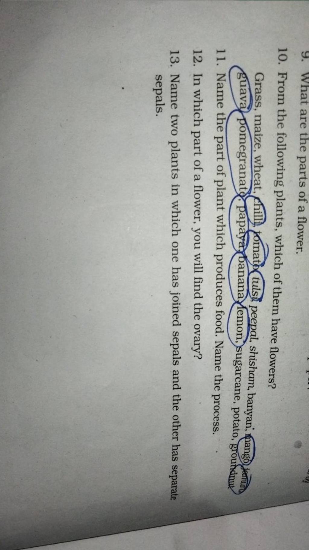 9. What are the parts of a flower. 10. From the following plants, which o..