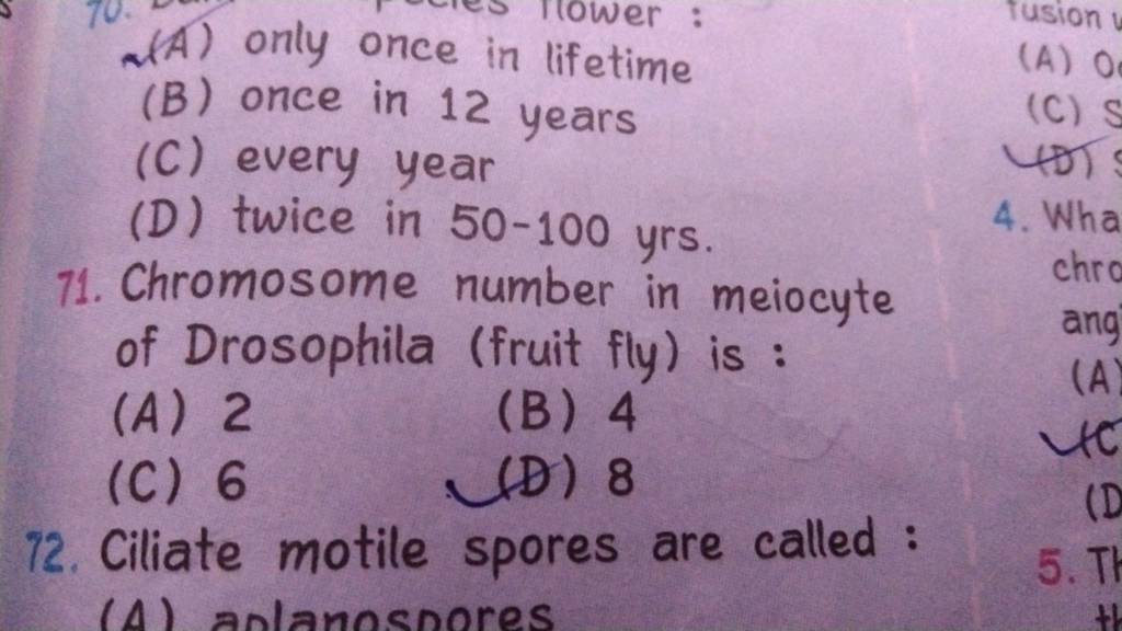 Chromosome number in meiocyte of Drosophila (fruit fly) is Filo