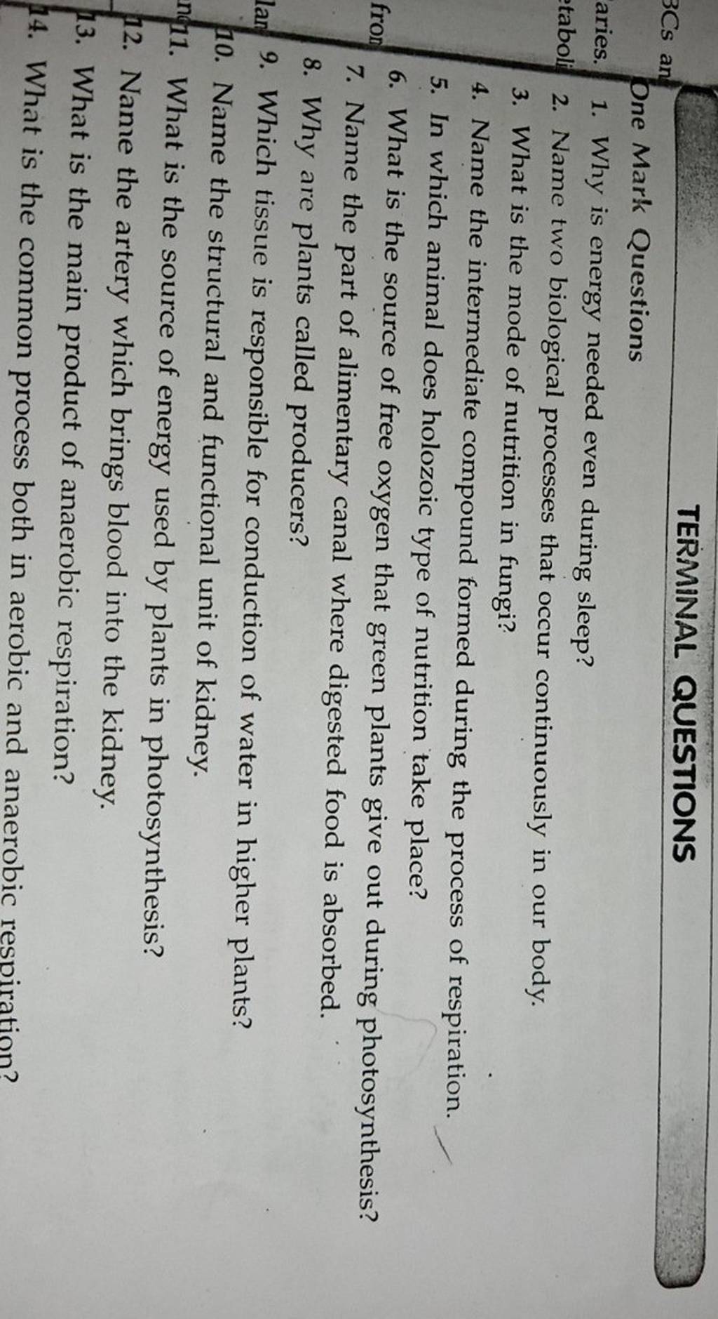 TERMINAL QUESTIONS One Mark Questions Filo