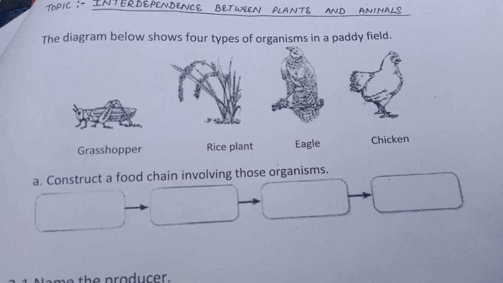 TOPIC :- INTERDEPENDENCE BETWEEN PLANTS AND ANIMALS The diagram below sho..