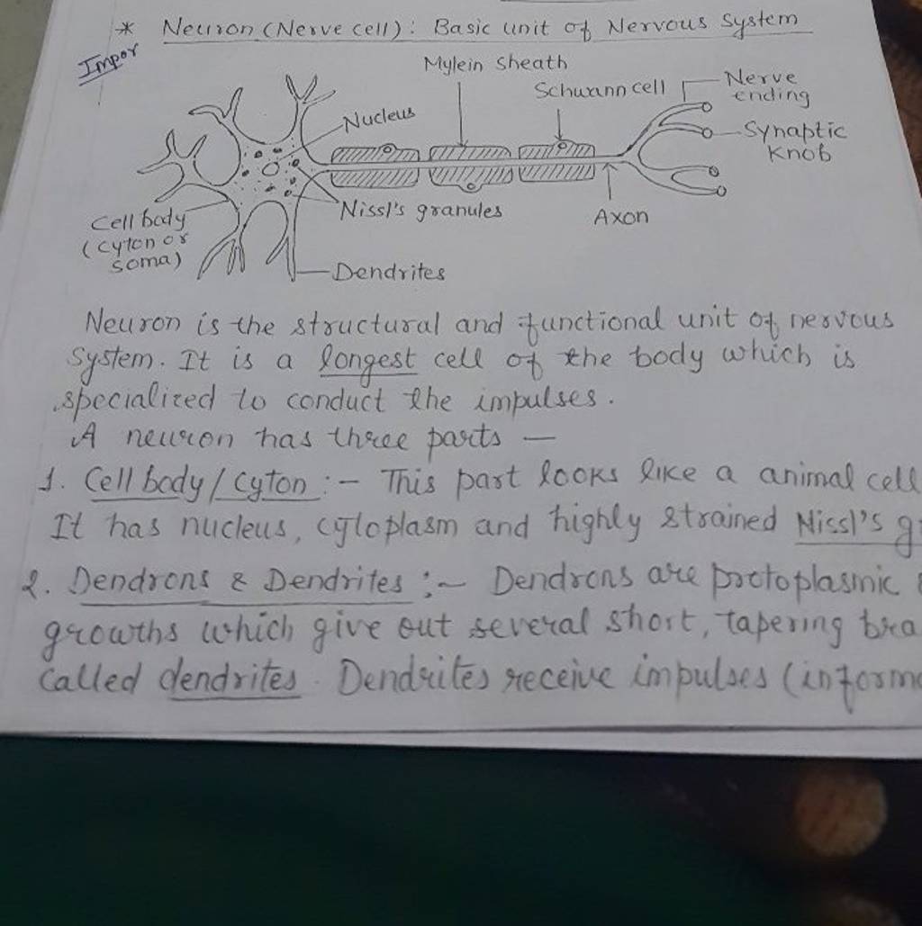 Neuron is the structural and functional unit of nervous system it is a l 