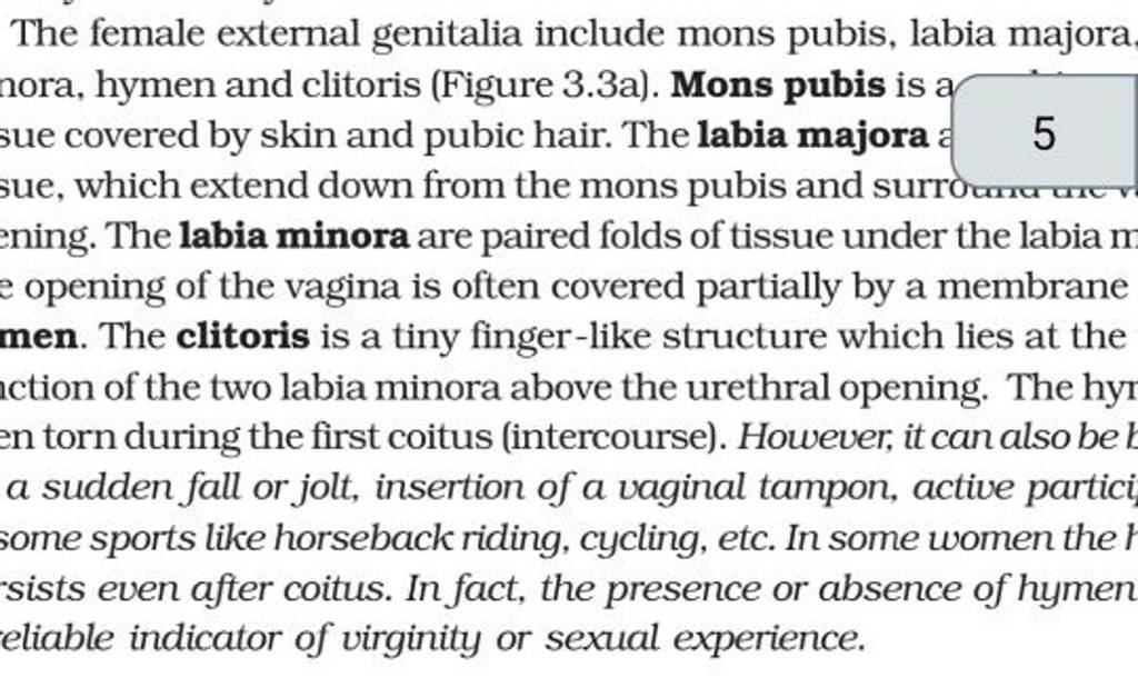 The Female External Genitalia Include Mons Pubis Labia Majora Nora Hym