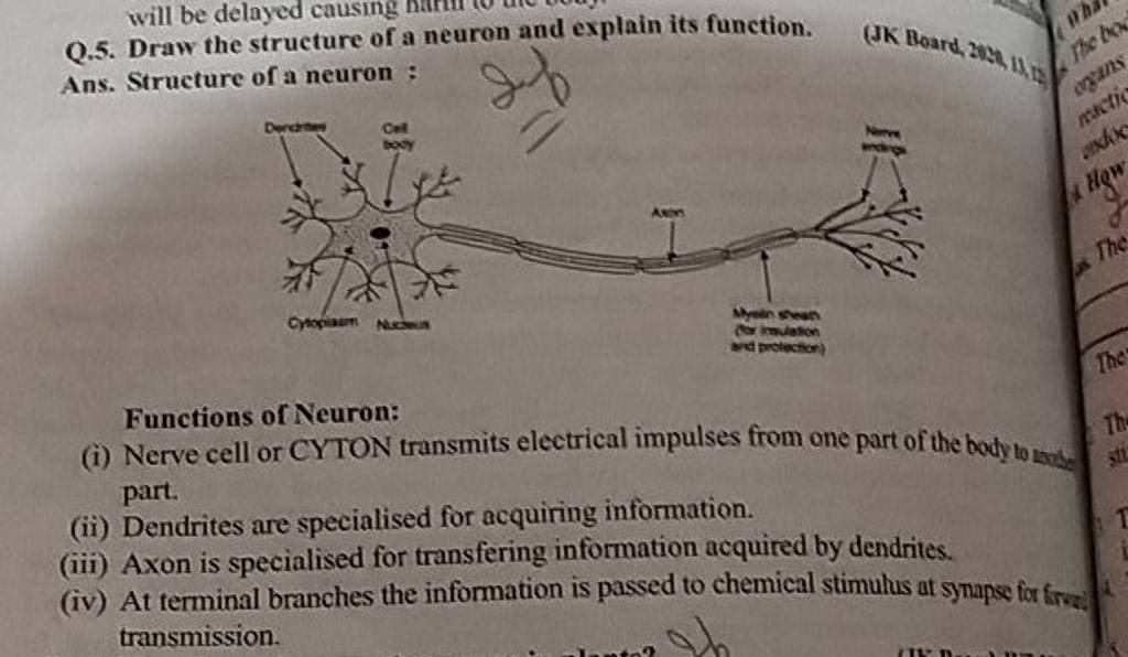 Q5 Draw The Structure Of A Neuron And Explain Its Function Jk Board 2 4112