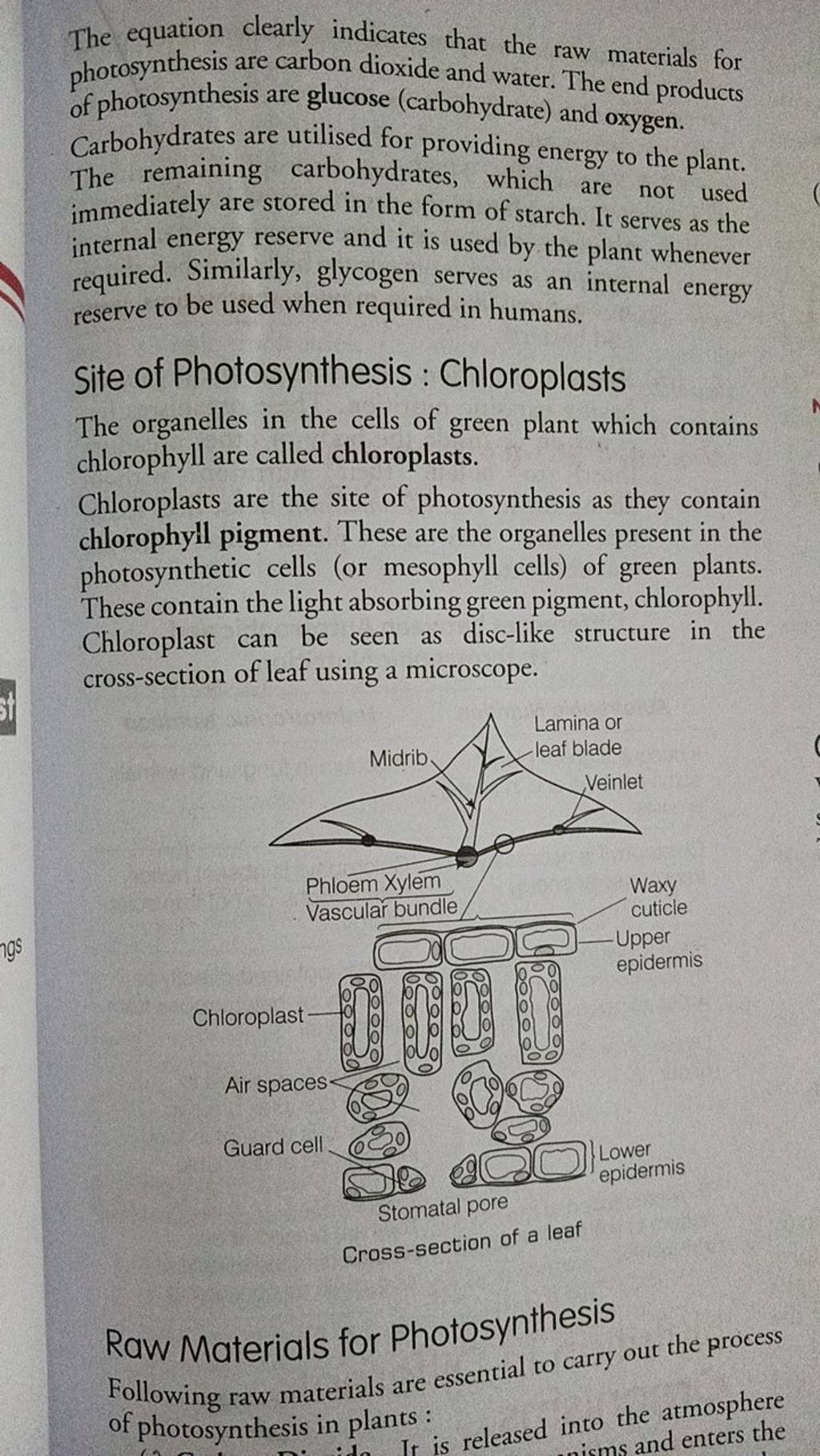 the-equation-clearly-indicates-that-the-raw-materials-for-photosynthesis