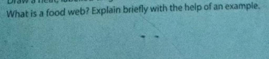 what-is-a-food-web-explain-briefly-with-the-help-of-an-example-filo