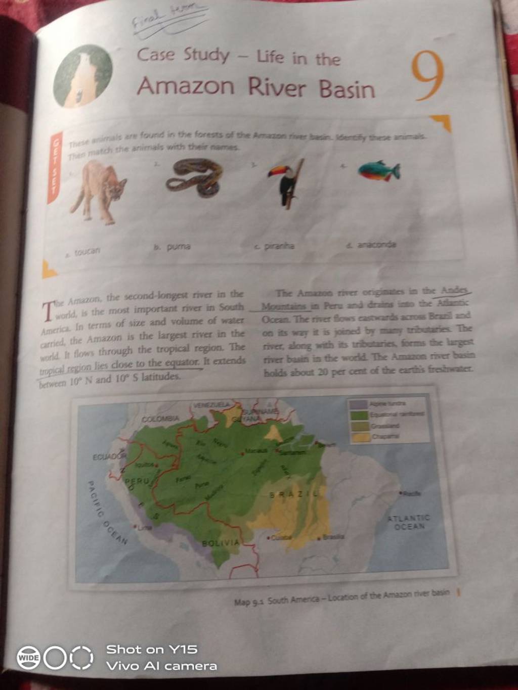 case study life in the amazon river basin class 6