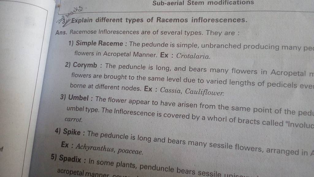 sub-aerial-stem-modifications-explain-different-types-of-racemos-inflores