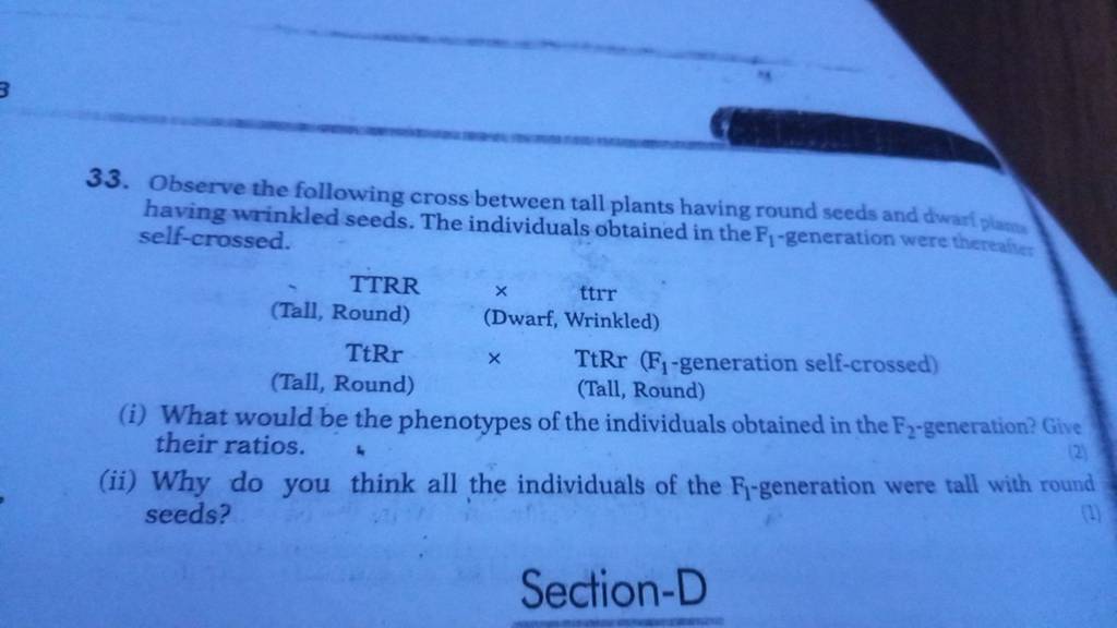33 Observe The Following Cross Between Tall Plants Having Round Seeds An 33-observe-the-following-cross-between-tall-plants-having-round-seeds-an