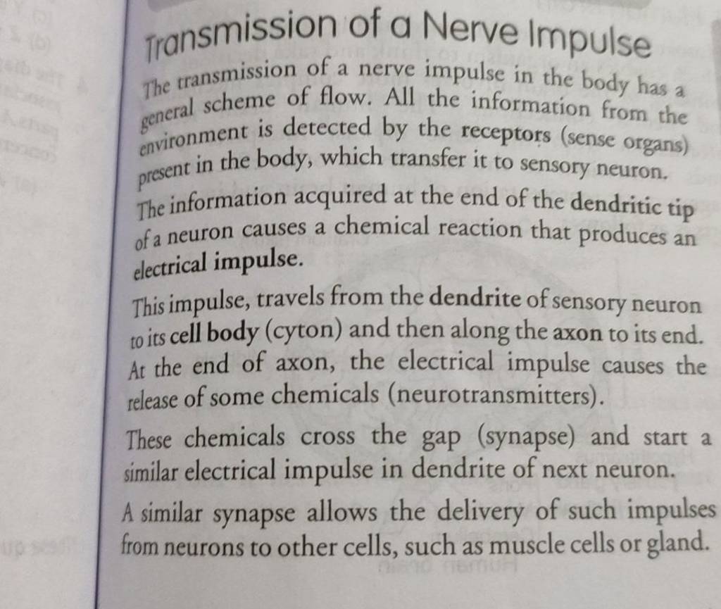 Transmission of a Nerve Impulse The transmission of a nerve impulse in th Biology Diagrams