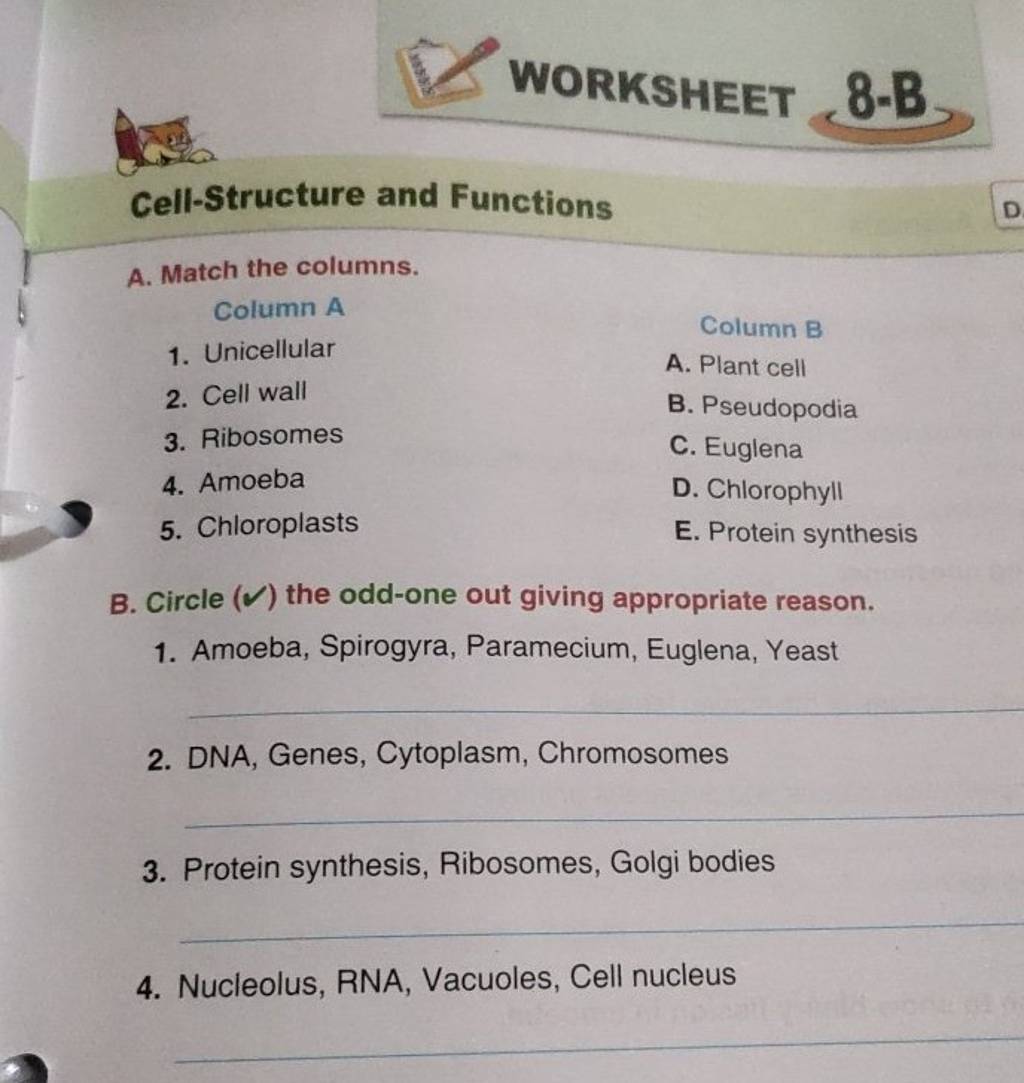 Match The Structure With Its Protective Function WORKSHEET 8-B Cell-Structure and Functions A. Match the columns. Column A..