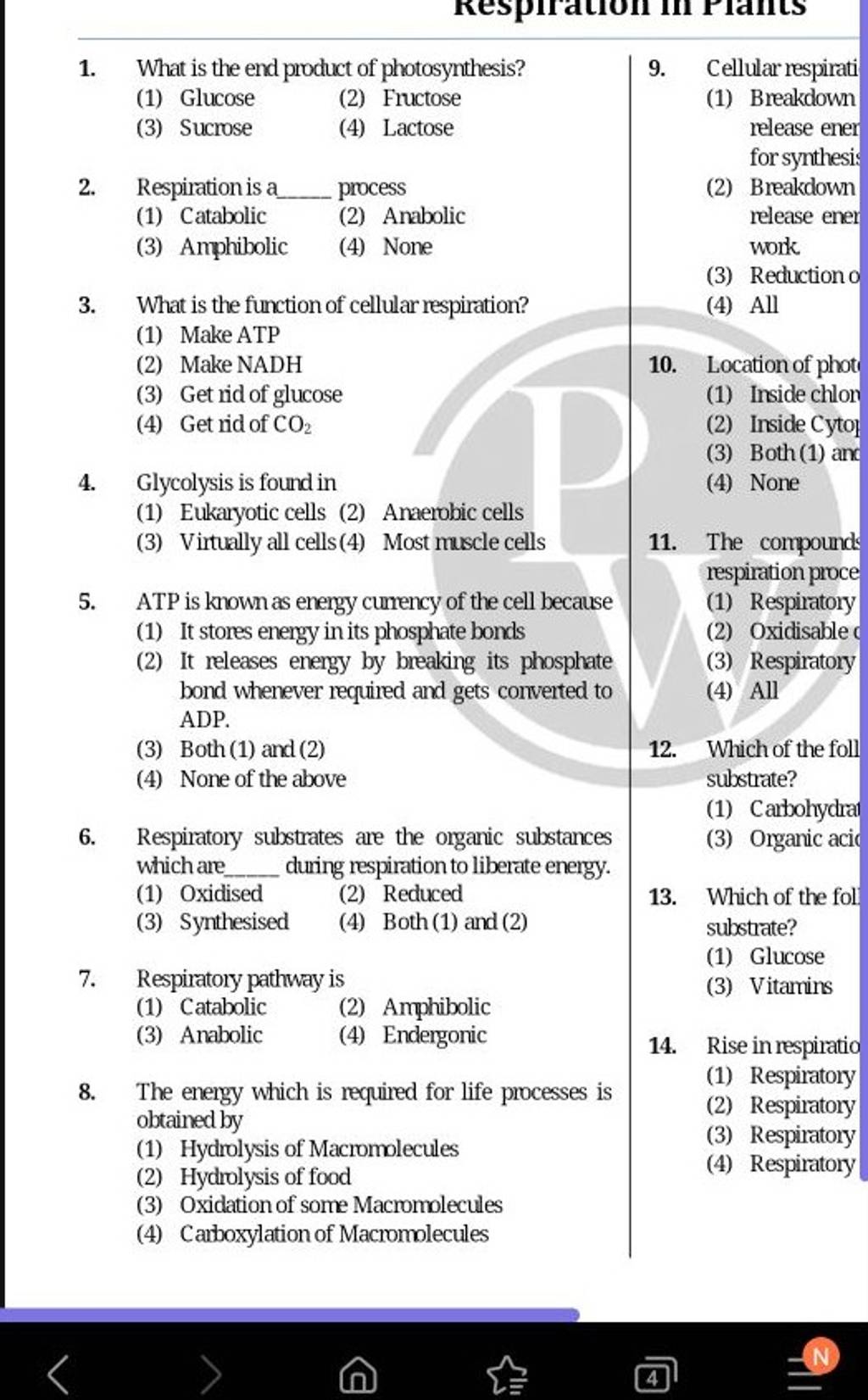 what is the final product of photosynthesis mcq