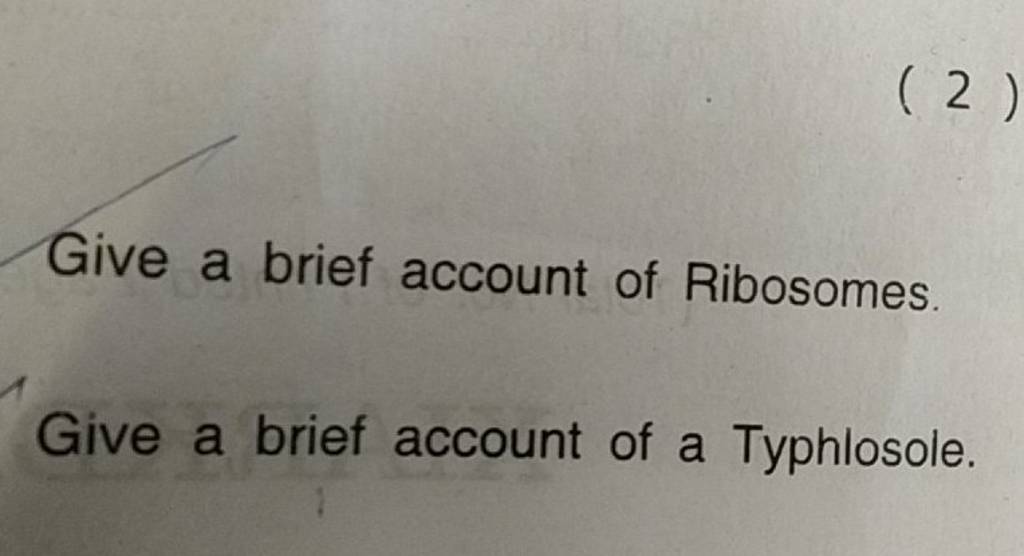 Give a brief account of Ribosomes.Give a brief account of a Typhlosole