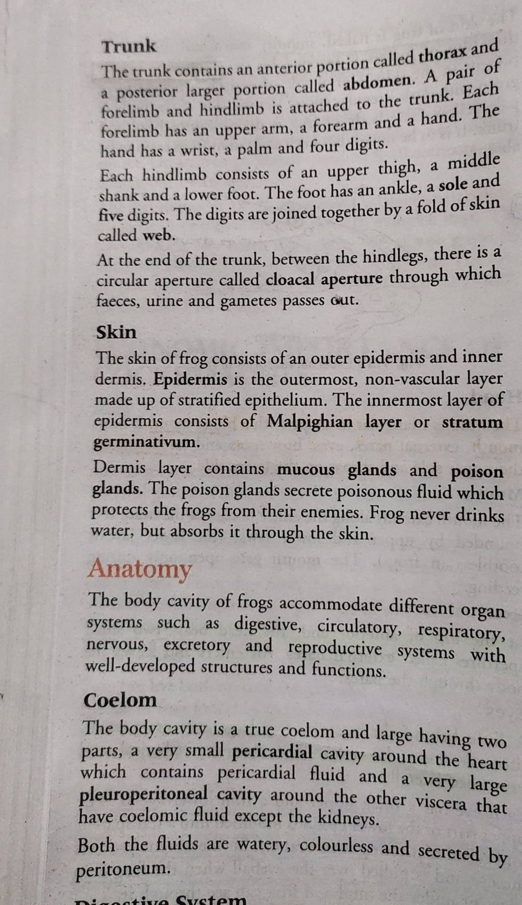 Trunk The trunk contains an anterior portion called thorax and a posterio..