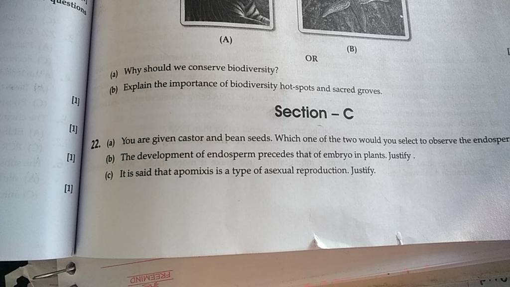 (A) (B) (a) Why should we conserve biodiversity? (b) Explain the importan..