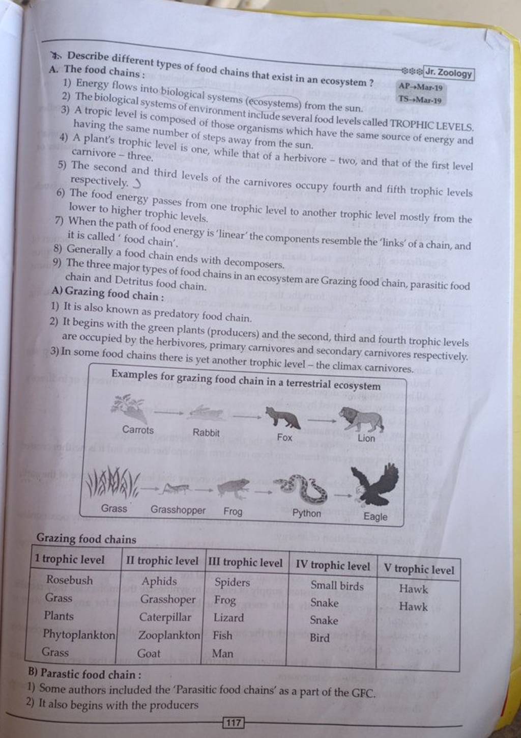 Describe Different Types Of Food Chains That Exist In An Ecosys A The Fo 